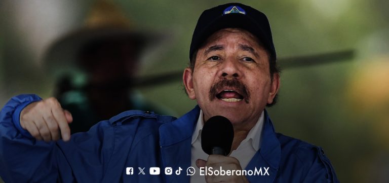 MINI ORTEGA