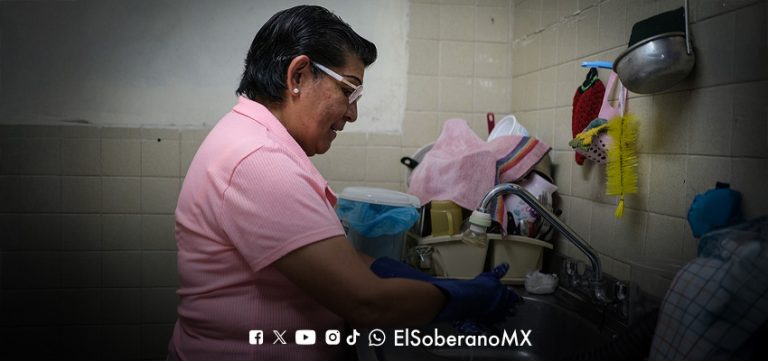 MINI hogar